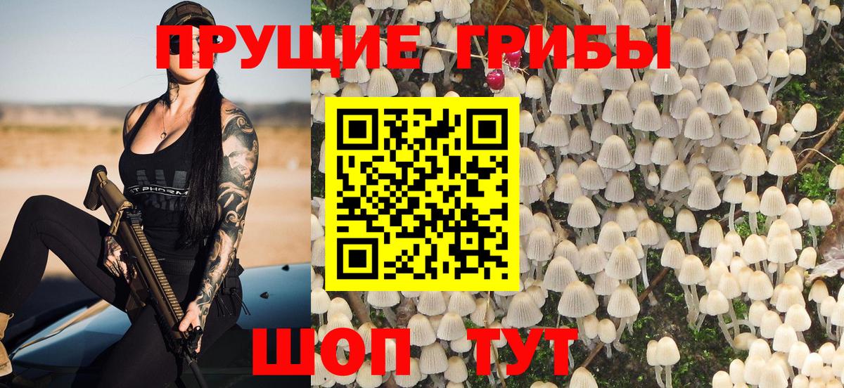 Псилоцибиновые грибы Psilocybine cubensis Саранск