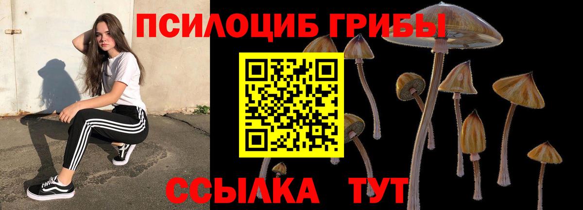 Саранск  Галлюциногенные грибы прущие грибы  Вход с VPN 